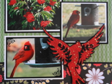 Everyday Life Scrapbook 40 – Garden & Birds