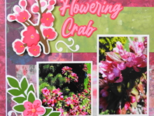Everyday Life Scrapbook 56 – Spring